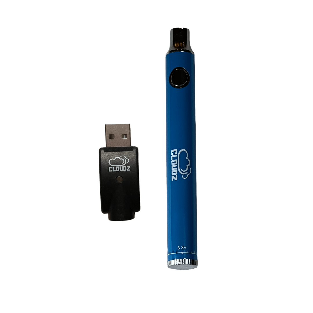 Cloudz battery with USB charger, blue