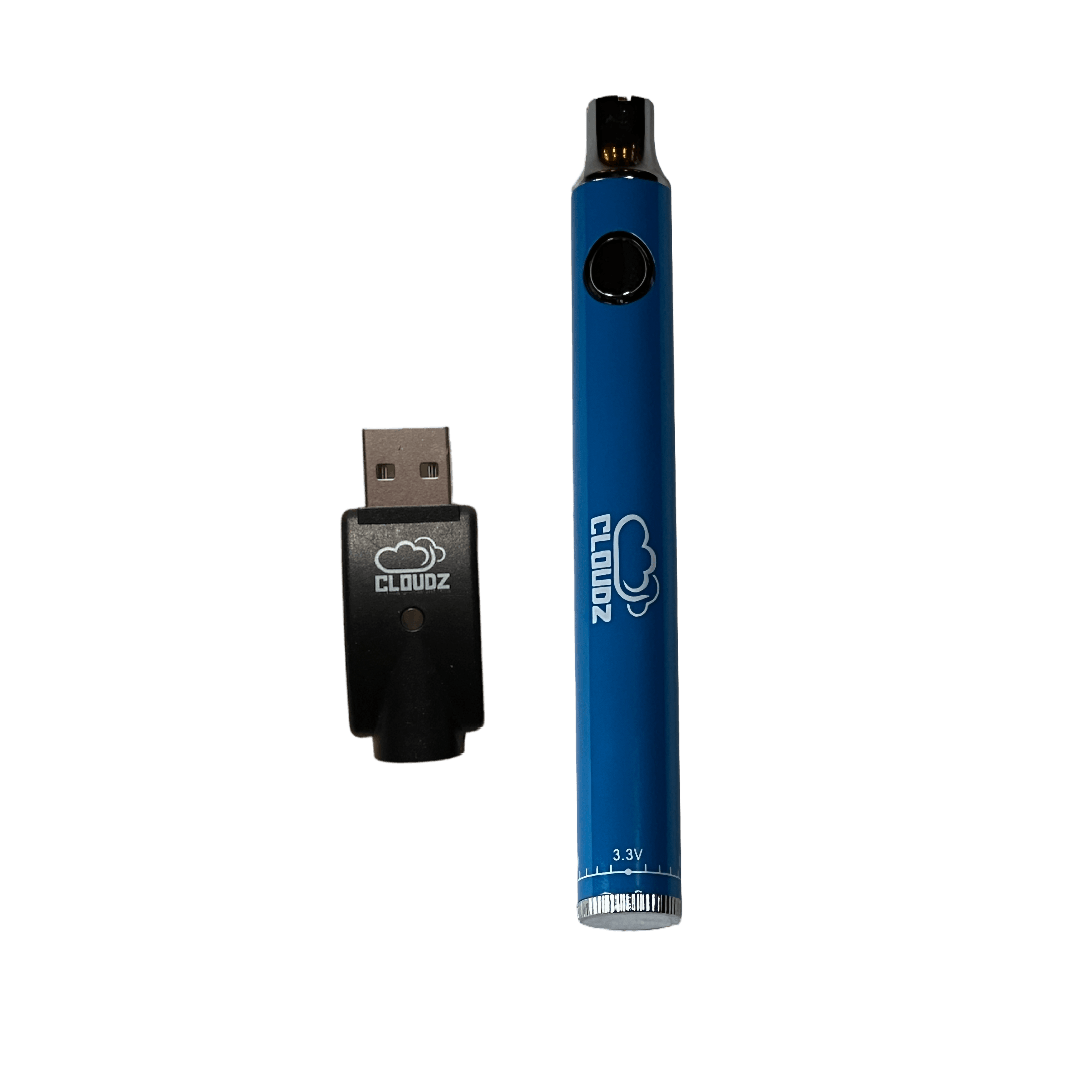 Cloudz battery with USB charger, blue